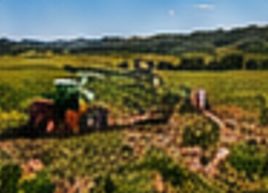 Agricultura familiar
